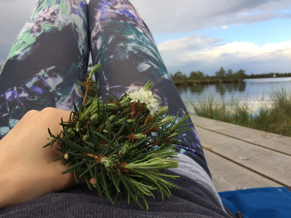Rabas nägijaks- Kerttu muljed Visioonirännakust