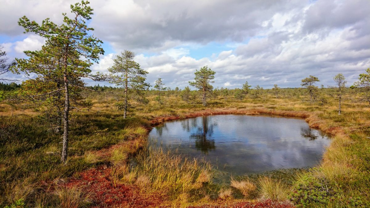 Rõõmuga värvilisse sügisesse