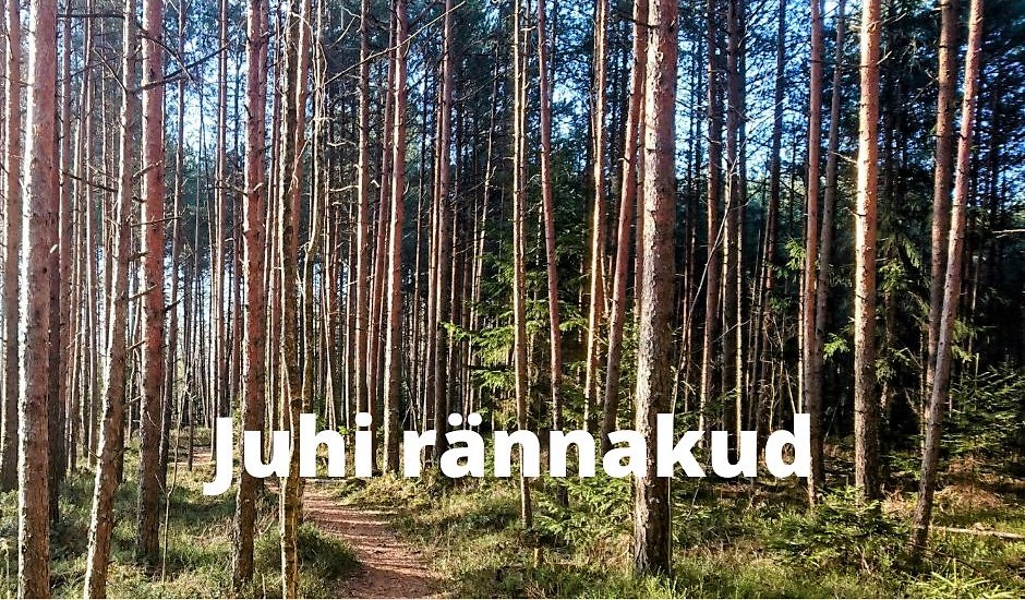 Juhi rännakud